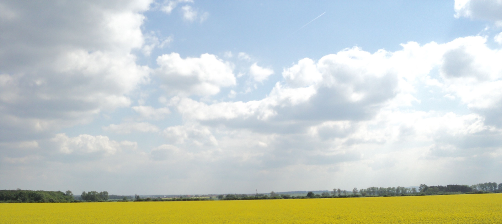 Landschap bij Pardubice